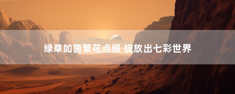 绿草如茵繁花点缀 绽放出七彩世界