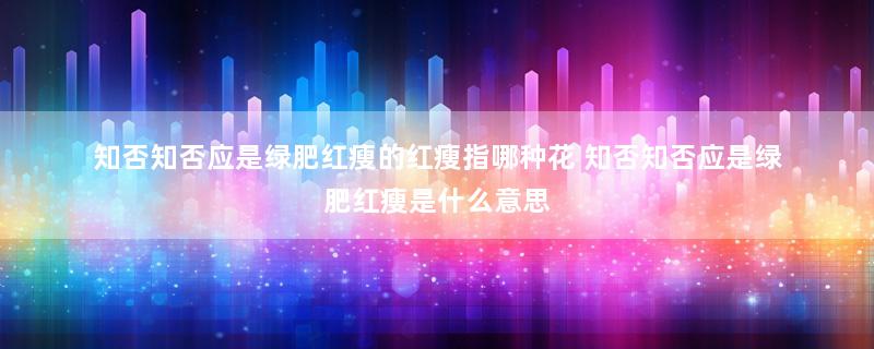 知否知否应是绿肥红瘦的红瘦指哪种花 知否知否应是绿肥红瘦是什么意思