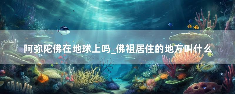 阿弥陀佛在地球上吗_佛祖居住的地方叫什么